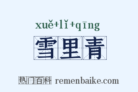 雪里青是什么意思的图片